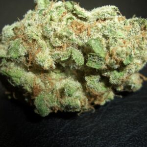 Hawaiian strain