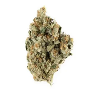 Lemon Ice - Premium Sativa Strain