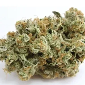 Platinum Kush Breath