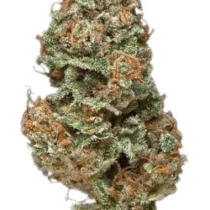 Strawberyy Mango Haze