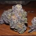 Grape Ape